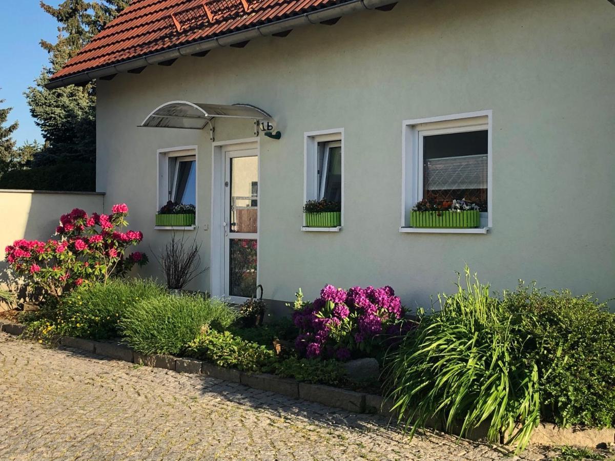 Ferienhaus Zur Heide - Erdgeschoss Radibor Zewnętrze zdjęcie